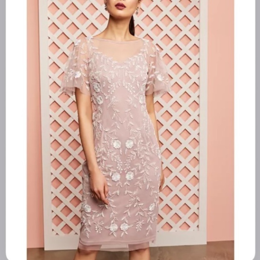 Adrianna Papell Embellished Flutter-Sleeve Sheath Dress in Dusted Petal/Ivory - Picture 5 of 13